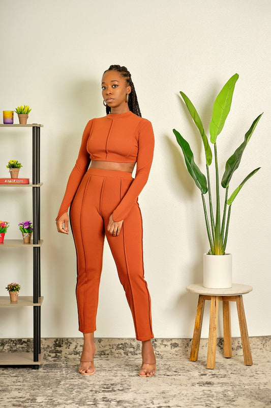 Look at Me Now Ribbed High Neck Crop Top and High Waisted Fitted Pant Set - Rust
